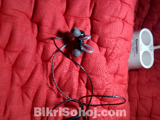 DM10 Earphones